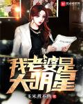 我老婆是大明星epub