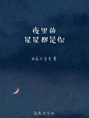 夜里的星星都是你